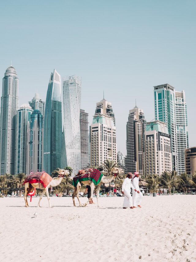 Here Are 8 Places To Celebrate A Beachy Christmas In Dubai!