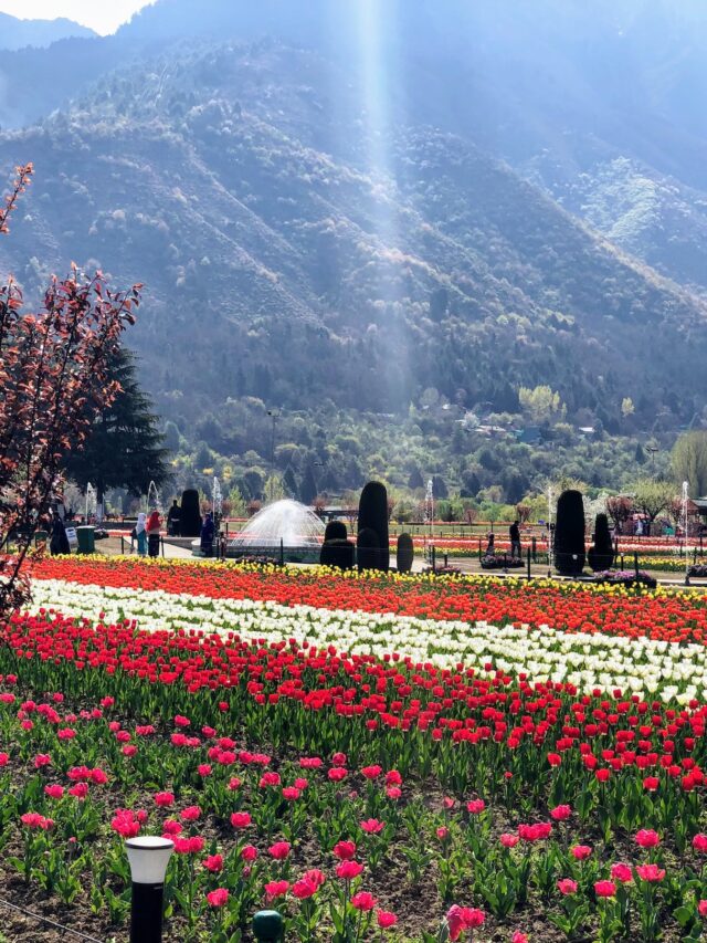 8 Travel Destinations For Spring Lovers!